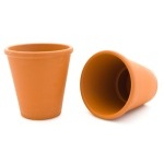 two flower pots