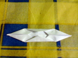 Two tips folded to the centre